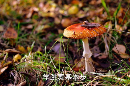 广场舞入门基本步法，2016广场舞最新广场舞初学16步如何走