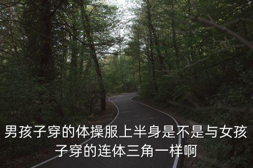 三角连体舞蹈服，男孩子穿的体操服上半身是不是与女孩子穿的连体三角一样啊