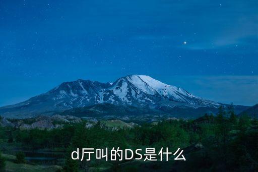 酒吧ds是什么意思，d厅叫的DS是什么