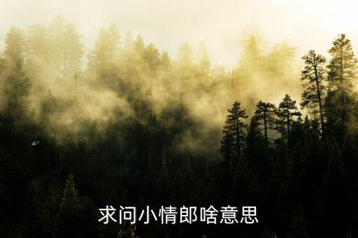 小情郎什么意思，有人和我说必修接受小情郎的设定是啥意思啊