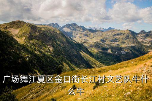 广场舞江夏区金口街长江村文艺队牛什么牛