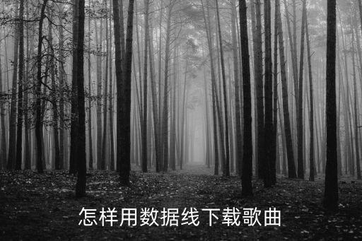 怎样用数据线下载歌曲