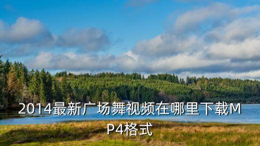 2014最新广场舞视频在哪里下载MP4格式