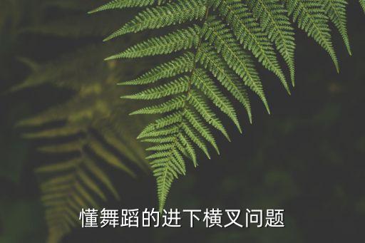 懂舞蹈的进下横叉问题
