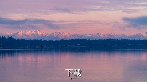 下载