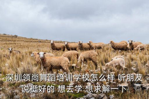 深圳领尚舞蹈培训学校怎么样 听朋友说挺好的 想去学 想求解一下