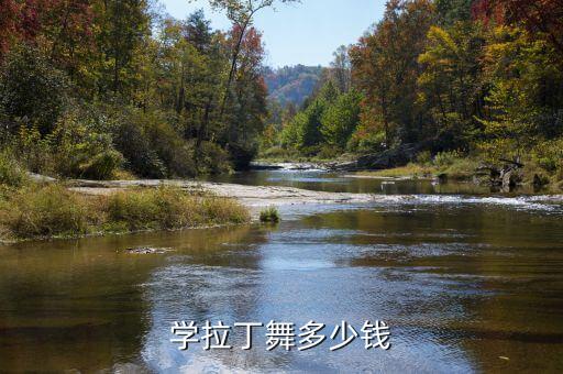拉丁舞舞蹈班学费多少，小孩学拉丁舞一年大约要多少钱