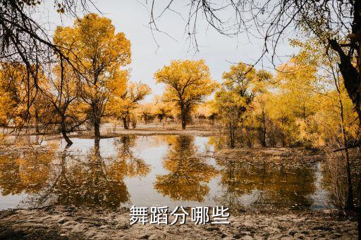 舞蹈的表现形式有哪些，舞蹈有那些常用的表现手法