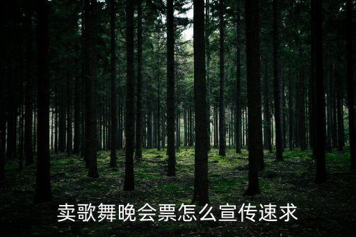 卖歌舞晚会票怎么宣传速求