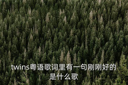 twins粤语歌词里有一句刚刚好的是什么歌