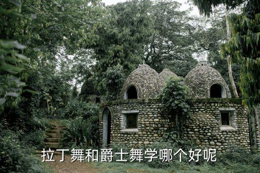 拉丁舞 爵士舞哪个更提升气质，拉丁舞和爵士舞学哪个好呢