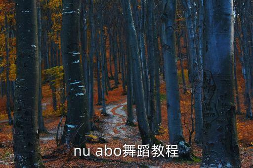 nu abo舞蹈教程