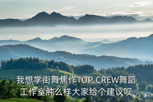 我想学街舞焦作TOP CREW舞蹈工作室肿么样大家给个建议呗