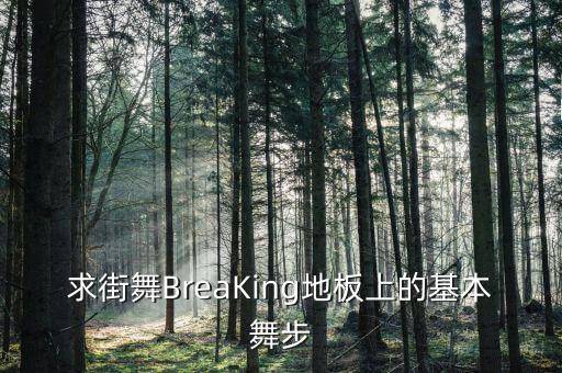 舞蹈地面有什么动作，breaking站着的基本舞步有哪些地板的基本舞步又有那些有什么大