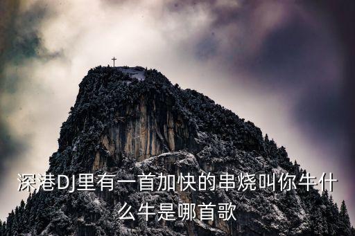 深港DJ里有一首加快的串烧叫你牛什么牛是哪首歌