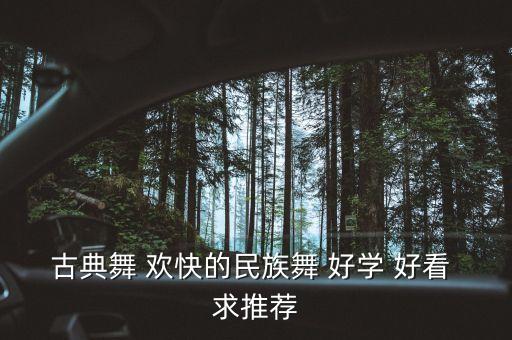 古典舞 欢快的民族舞 好学 好看 求推荐