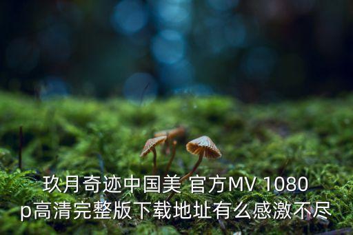 玖月奇迹中国美 官方MV 1080p高清完整版下载地址有么感激不尽