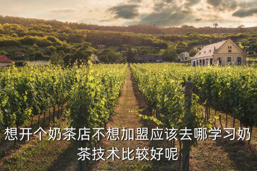 想开个奶茶店不想加盟应该去哪学习奶茶技术比较好呢