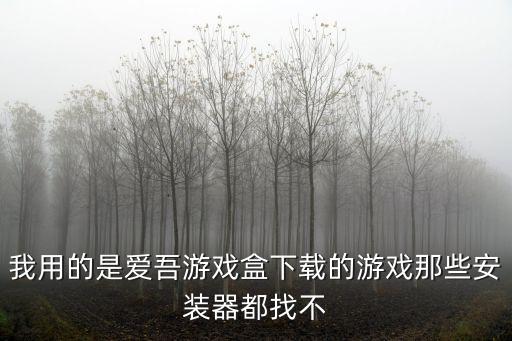 我用的是爱吾游戏盒下载的游戏那些安装器都找不