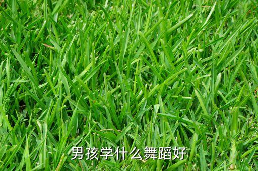 男孩学什么舞蹈好