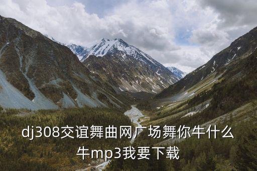 dj308交谊舞曲网广场舞你牛什么牛mp3我要下载