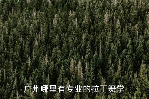 广州哪里有专业的拉丁舞学