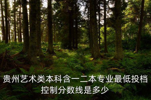 贵州艺术类本科含一二本专业最低投档控制分数线是多少