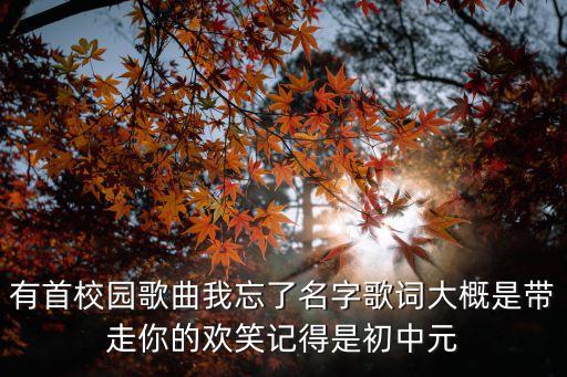 有首校园歌曲我忘了名字歌词大概是带走你的欢笑记得是初中元