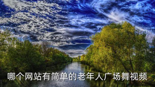 哪个网站有简单的老年人广场舞视频