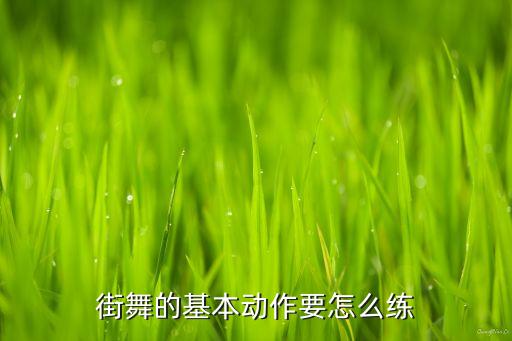 舞蹈入门基本动作示范，舞蹈初学者要练习的基本动作是什么
