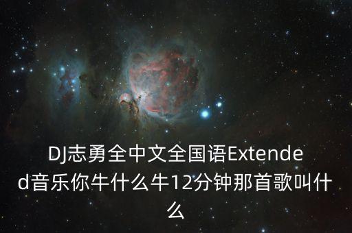 DJ志勇全中文全国语Extended音乐你牛什么牛12分钟那首歌叫什么