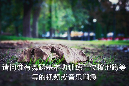 请问谁有舞蹈基本功训练一位擦地蹲等等的视频或音乐啊急