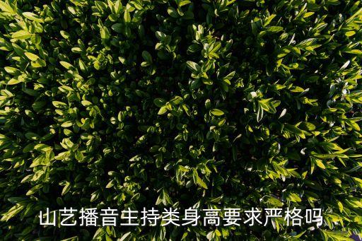 山艺播音主持类身高要求严格吗