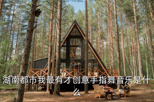 网上最火的手指舞舞蹈，湖南都市我最有才创意手指舞音乐是什么