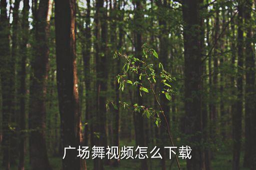 广场舞视频怎么下载