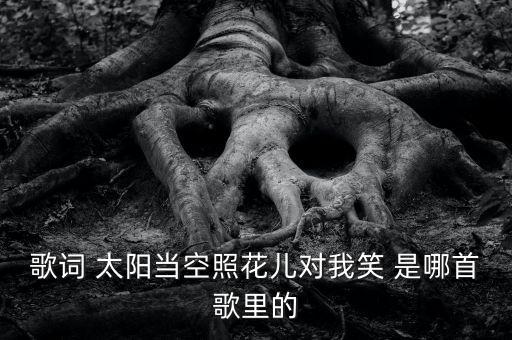 歌词 太阳当空照花儿对我笑 是哪首歌里的