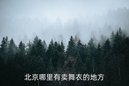 北京哪里有卖舞衣的地方