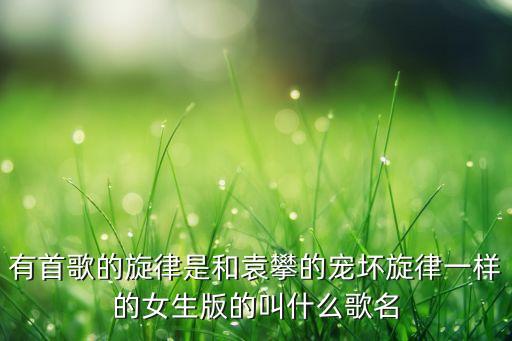 有首歌的旋律是和袁攀的宠坏旋律一样的女生版的叫什么歌名