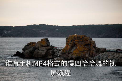 谁有手机MP4格式的慢四恰恰舞的视屏教程