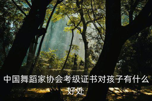 中国舞蹈家协会考级证书对孩子有什么好处