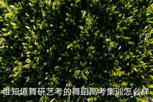 谁知道舞研艺考的舞蹈高考集训怎么样