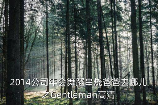 2014公司年会舞蹈串烧爸爸去哪儿之Gentleman高清