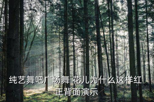 纯艺舞吧广场舞 花儿为什么这样红 正背面演示