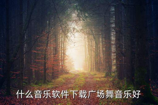 什么音乐软件下载广场舞音乐好