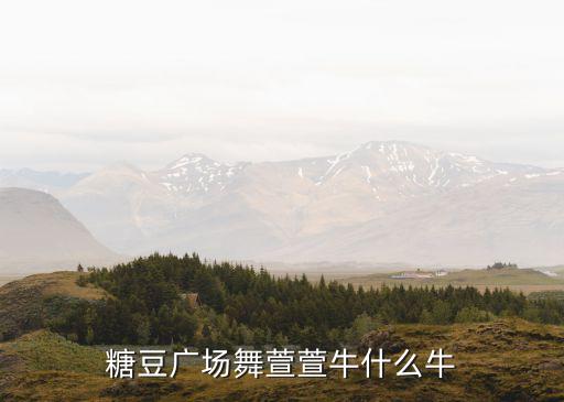 茉莉你牛什么牛广场舞优酷，广场舞你牛甚么牛mp3