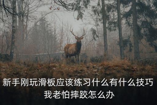 新手刚玩滑板应该练习什么有什么技巧 我老怕摔跤怎么办