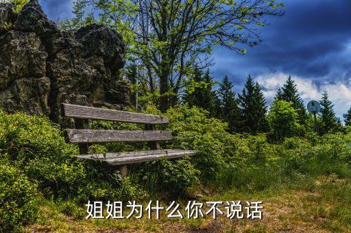 姐姐你为什么不说话dj，最新好听的歌曲