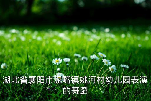 湖北省襄阳市泥嘴镇姚河村幼儿园表演的舞蹈