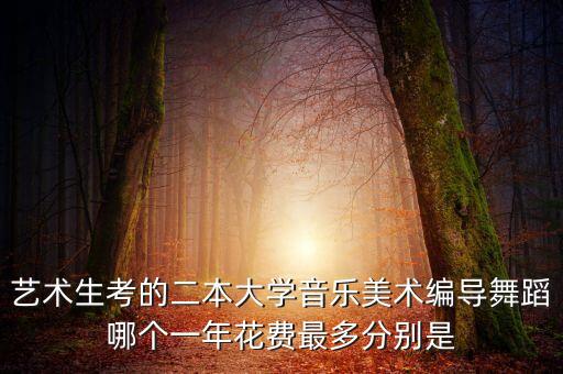 艺术生考的二本大学音乐美术编导舞蹈哪个一年花费最多分别是