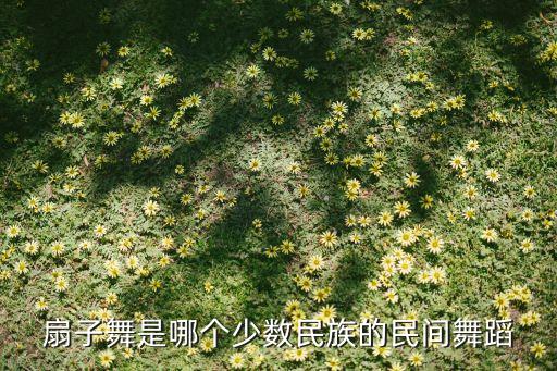 扇子舞是哪个少数民族的民间舞蹈